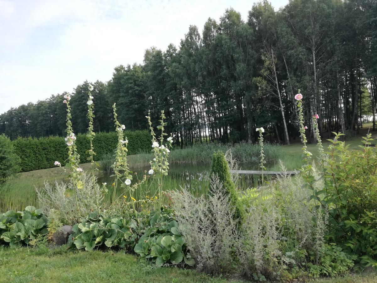 Lakeshore House Dvarcenai  Bagian luar foto